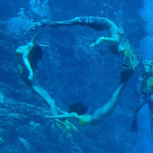 Weeki Wachee Springs